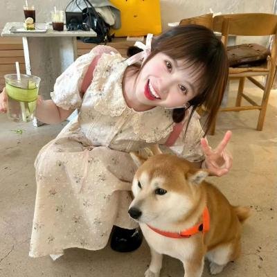 再见了妈妈